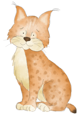 young-bobcat 1